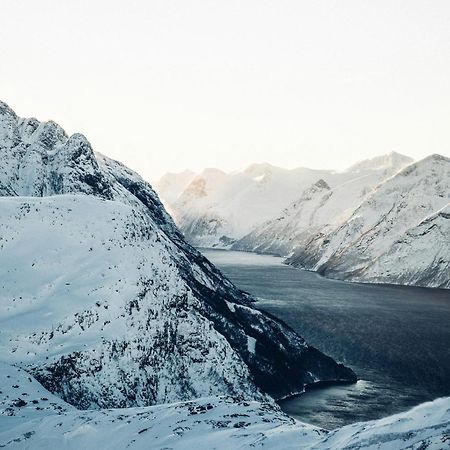 Unik Leilighet I Alesund Sentrum Exterior foto